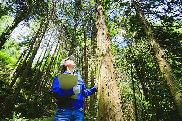 An image of person with a clipboard standing next to a tree.