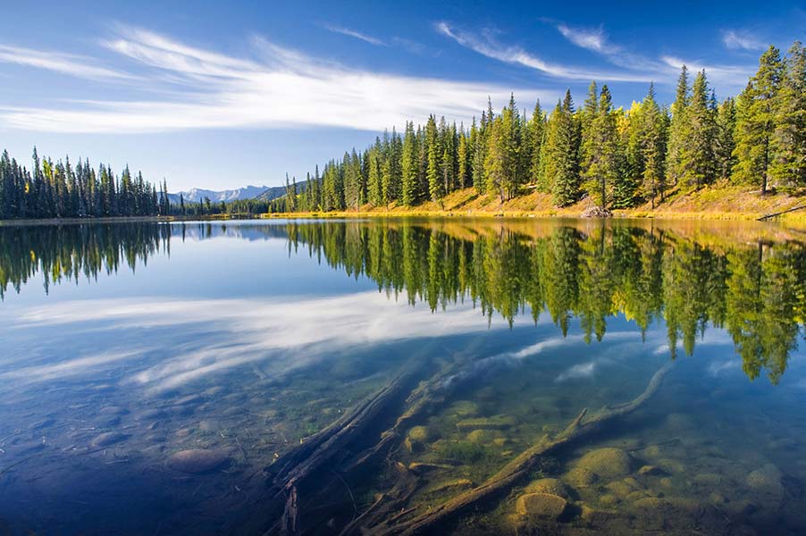 An image of a forest and lake.