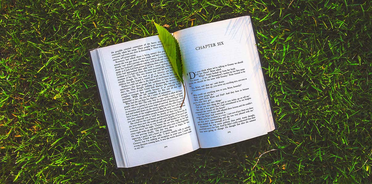 An image of a book lying open in the grass.